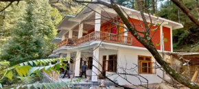 Jungle - Home In Mountain - Gushaini, Tirthan Valley, HP